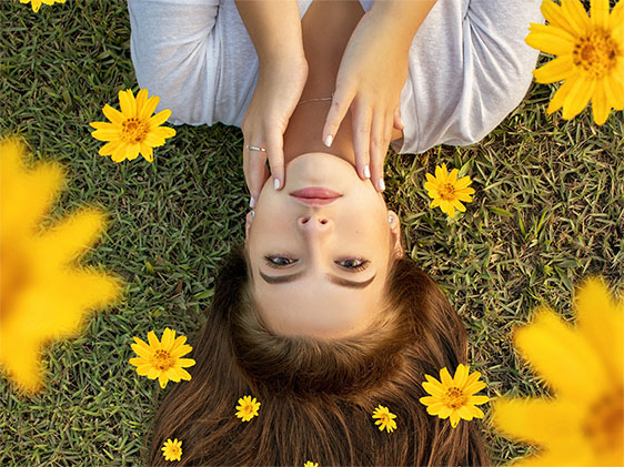 The Spike Spireのアーティスト写真